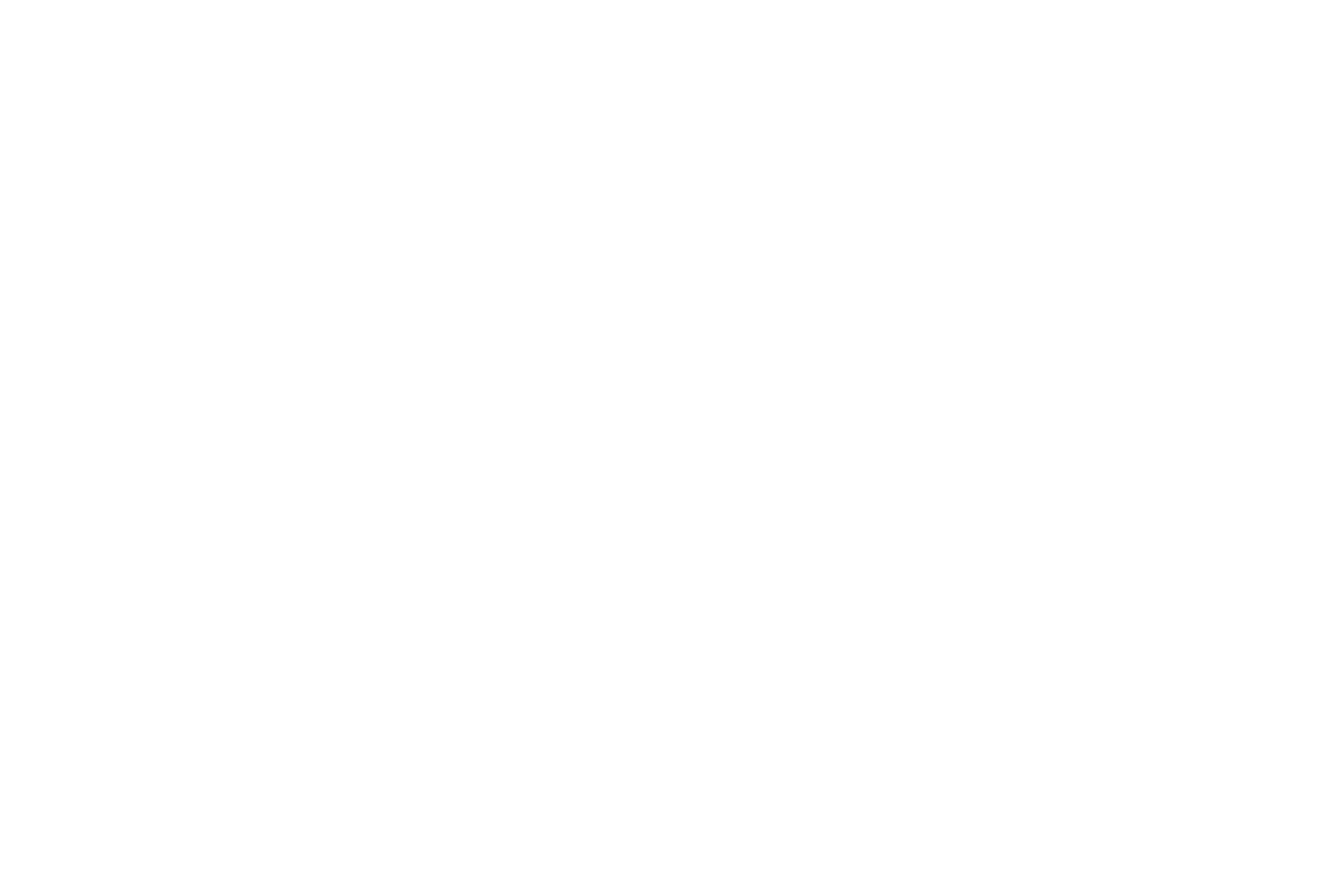 Bulgari logo